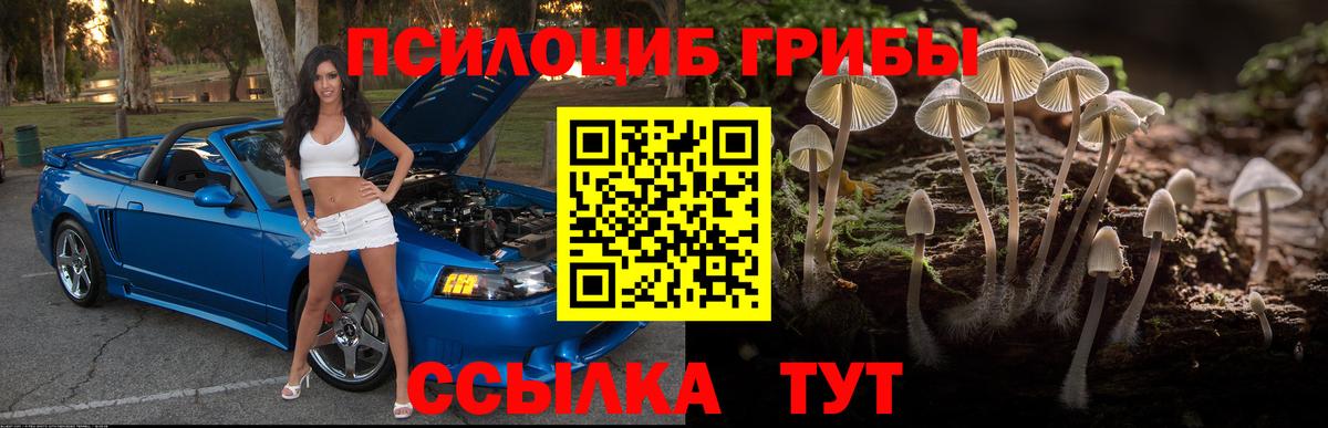 Псилоцибиновые грибы Psilocybe  Вход с VPN  Мичуринск 
